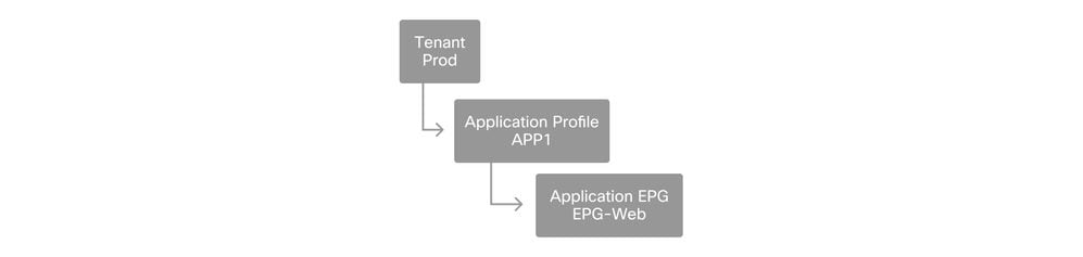 EPG Policies