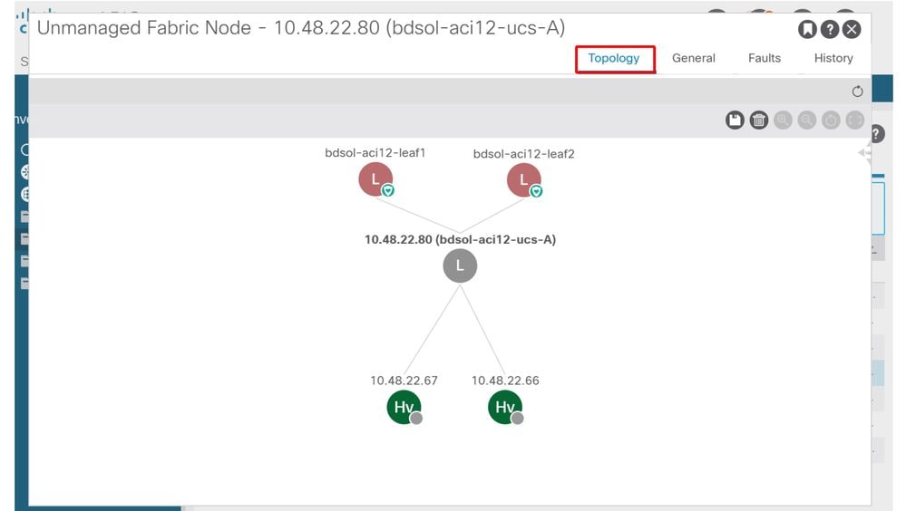 Nodo de fabric no administrado: vista de topología