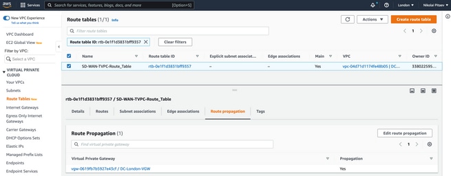 Enable Route Propagation under Transit VPC