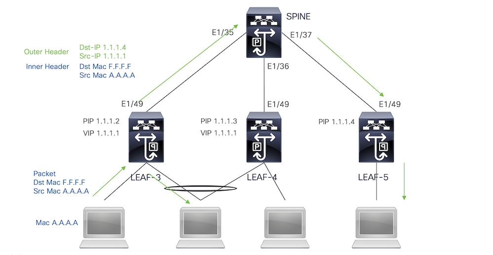 fabric-peering1