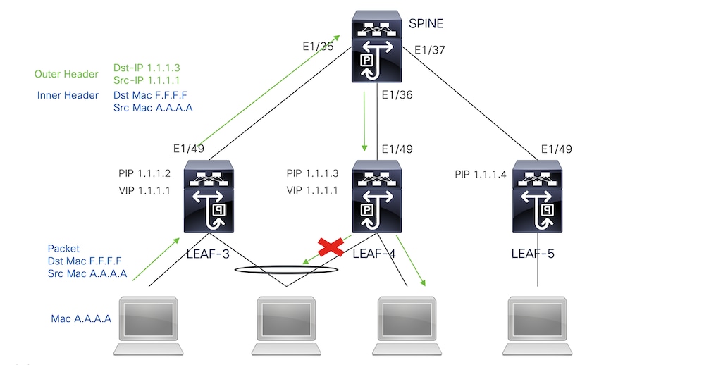 بنية-peering-multi2