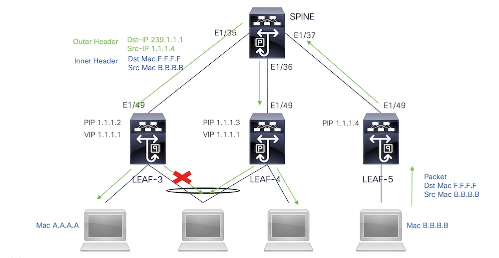 multicast (multidifusión)