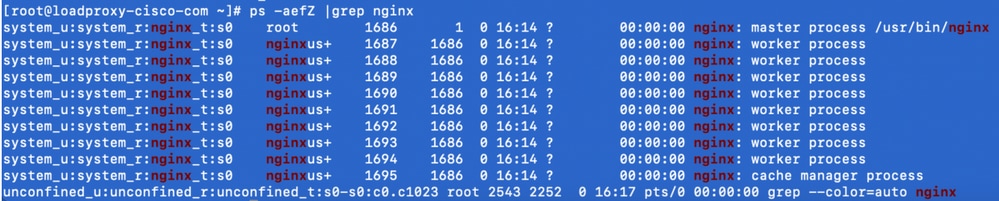 Configure Nginx Reverse Proxy for VPN-Less Access to Cisco Finesse 12.6 ES 02 - Nginx Status