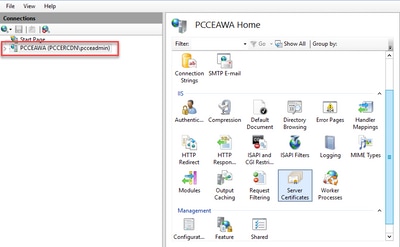 IIS Home Pane to Import