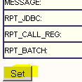 Set Button in CVP CallServer