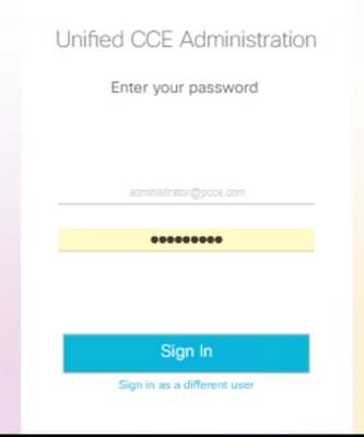 Exibição de entrada do Unified CCE Administration