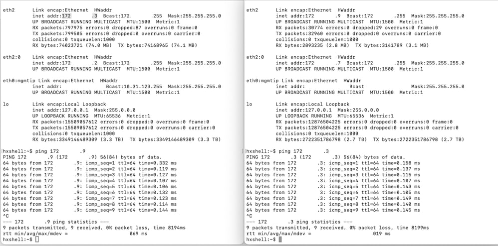 Eth2-Ping-Testbeispiel