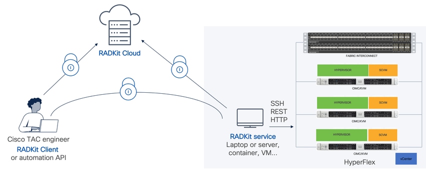 diagrama de conectividad RADKit