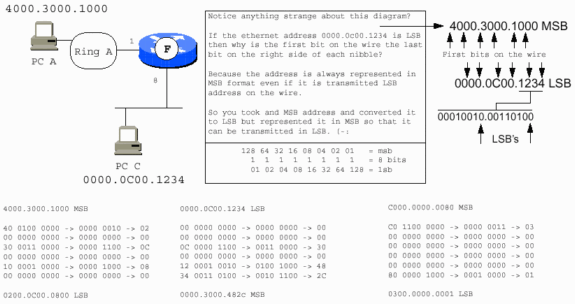 trb_rif-22.gif