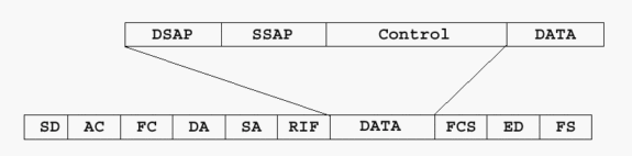 trb_rif-38.gif