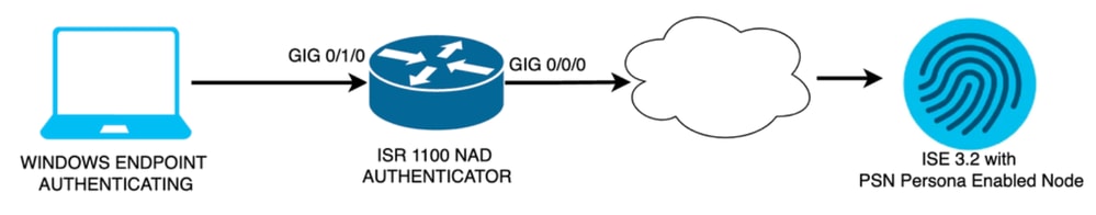 Netzwerkdiagramm