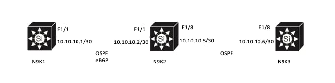 Netzwerkdiagramm