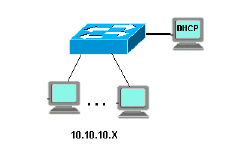 dhcp-multintwk-1.gif