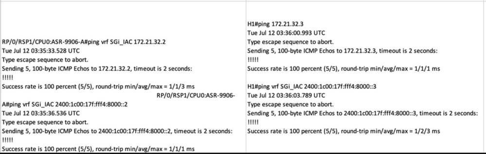 Host Ping Verification