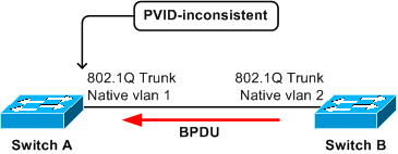 A의 트렁크 포트는 VLAN 2의 STP에서 VLAN 2의 태그가 있는 PVST+ BPDU를 수신합니다.