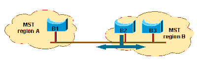 MST-Regionen