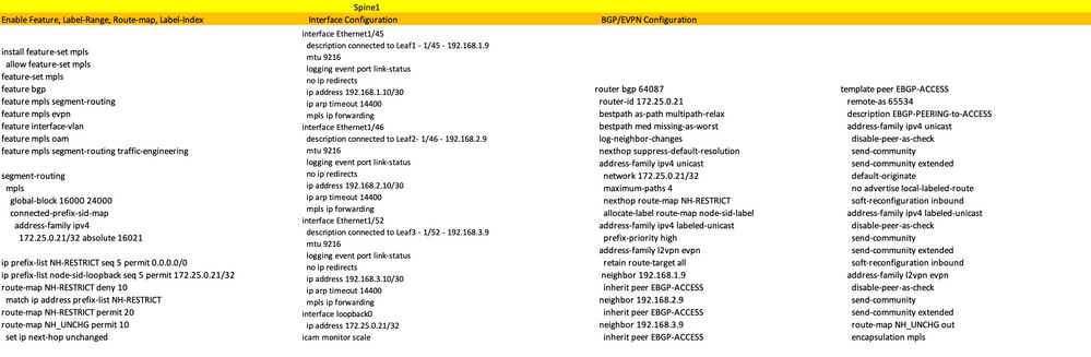 Spine-1 Configuration