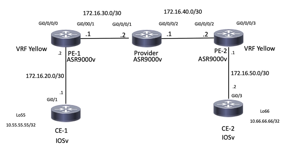 Network Topology