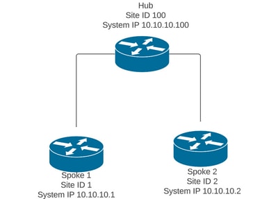 Topology Used