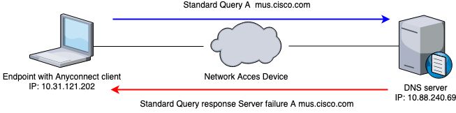 Diagrama de la red