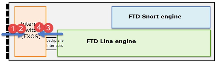 Data Path