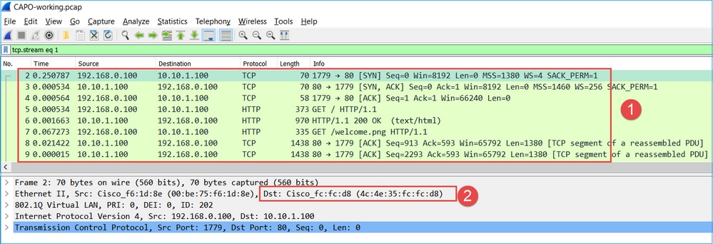 CAPI Output