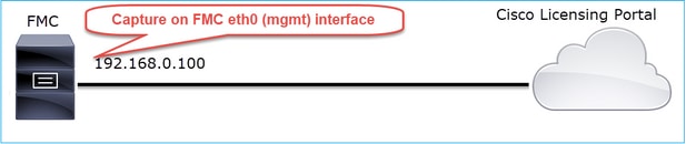 Network Topology