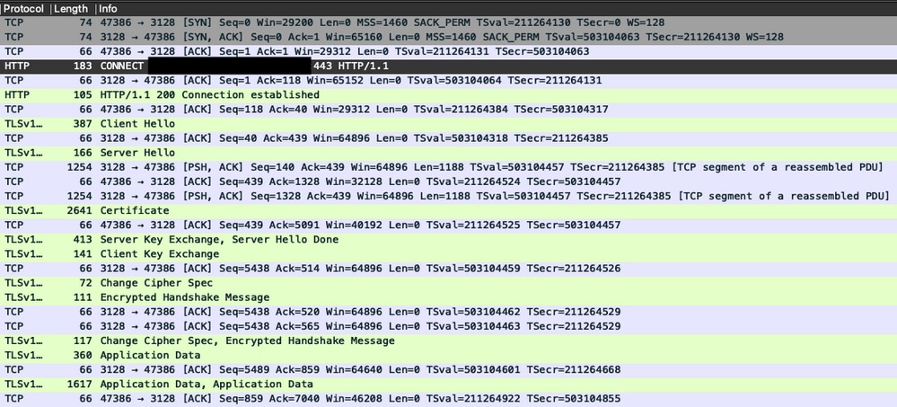 Packet capture example of connectivity with JAMF instance