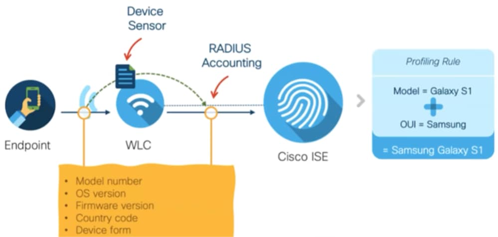 Flusso di dati di WiFi Analytics