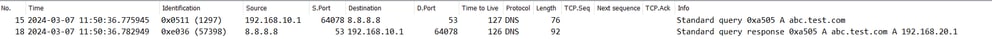 DNS Packets in Inside