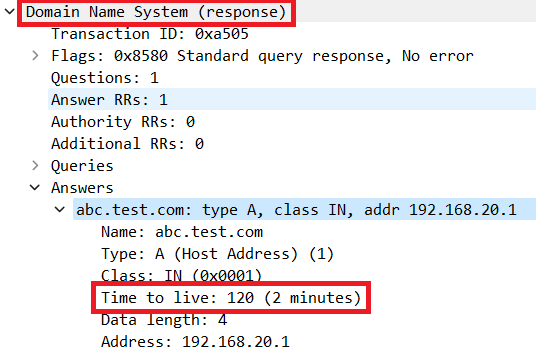 Packet Detail of DNS Resolution