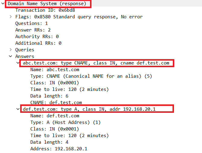 تفاصيل حزمة دقة DNS