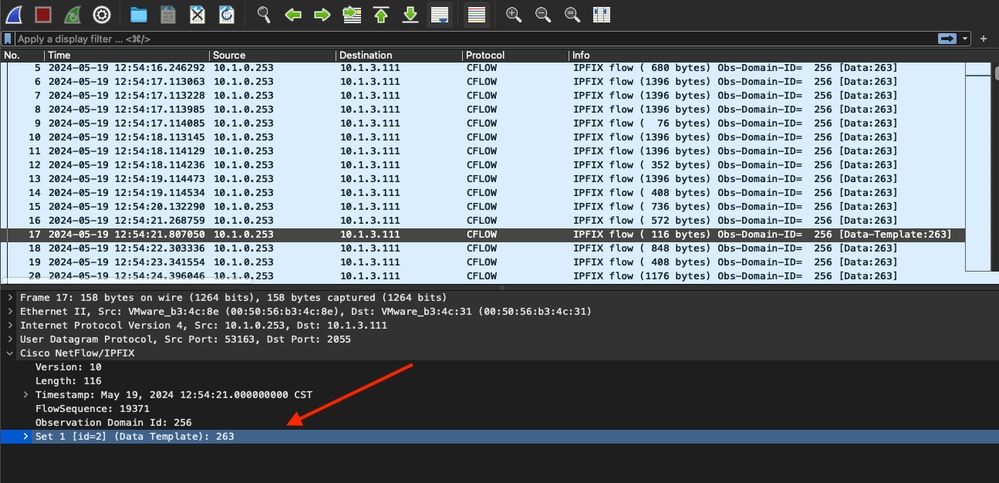 SS muestra la plantilla en Wireshark