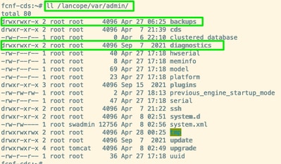 Cisco SNA Appliance - /lancope/var/admin path