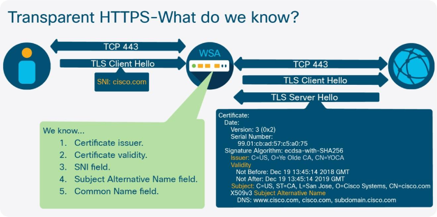 8_SWA_Transparent_HTTPS