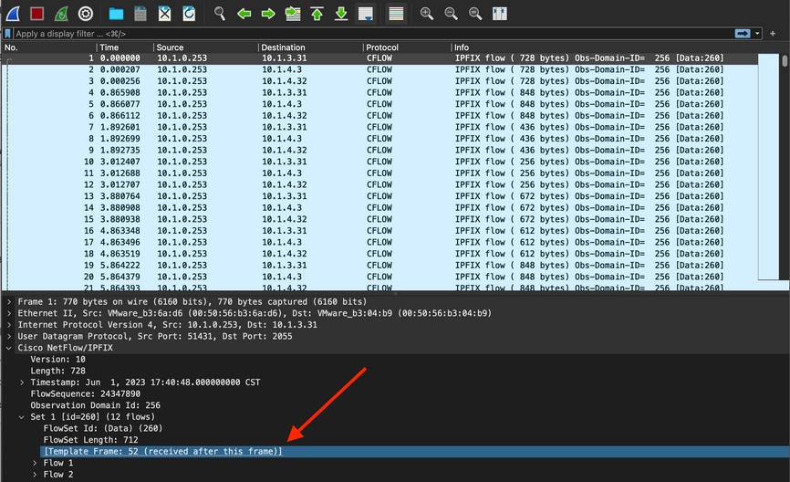 Identifying the template in a packet capture