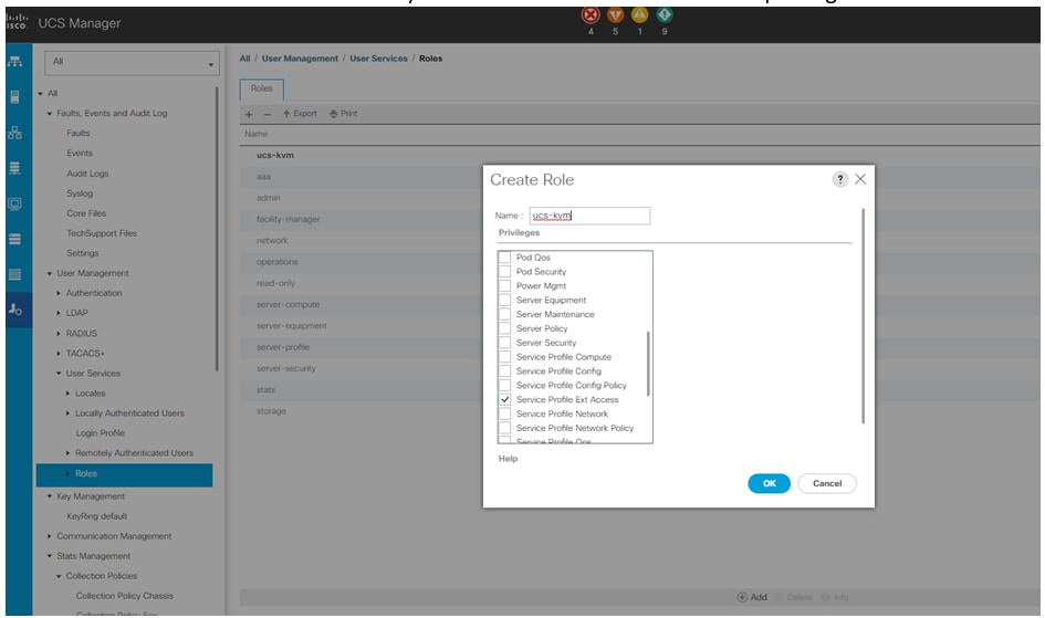 New Role Creation on UCS Manager
