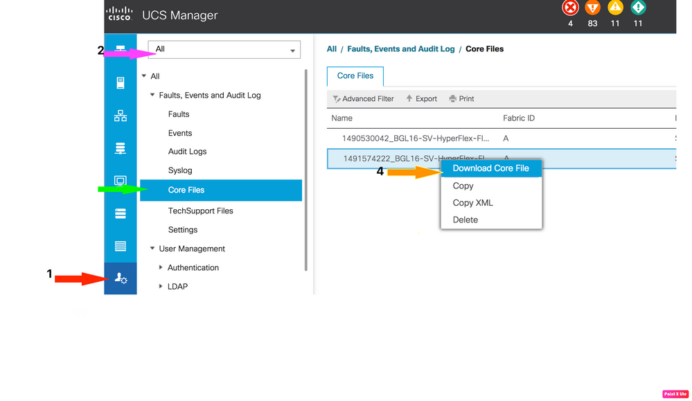 Fare clic su Download Core File