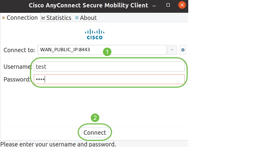 Enter your Username and Password in the fields provided. Click Connect. 