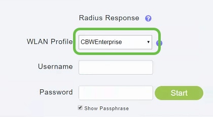 Radius test, WLAN profile dropdown box is highlighted.