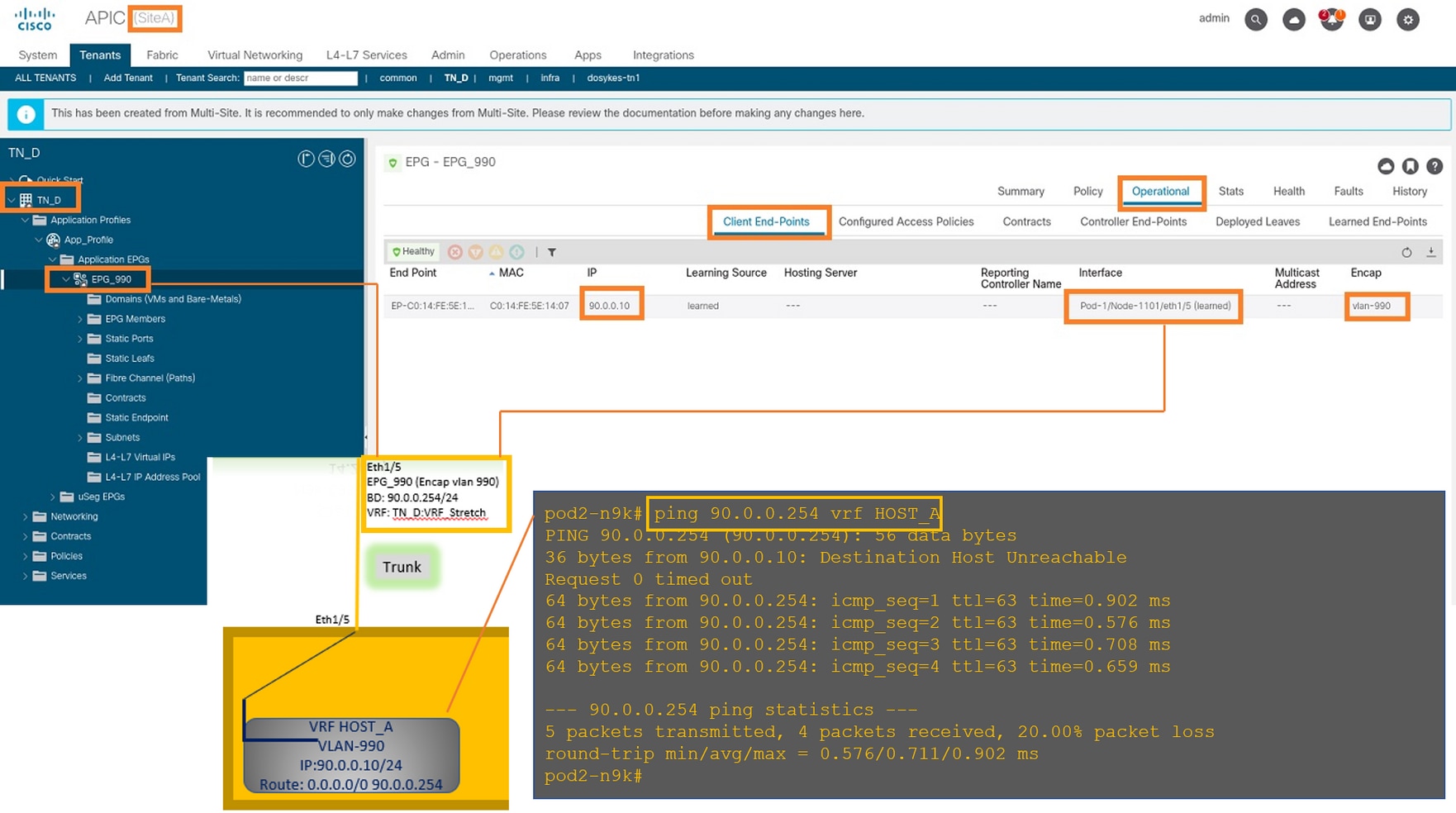 Configure Intersite L3out With ACI Multi-Site Fabrics - Verify HOST_A IP is learned.