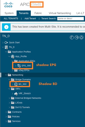 Configure Intersite L3out With ACI Multi-Site Fabrics - Verify Shadow EPG_990 and BD_990 Created at Site-B