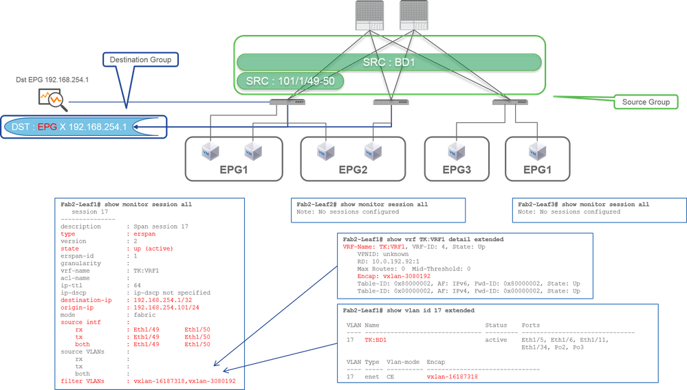 Fabric SPAN (ERSPAN) - Exemple 3