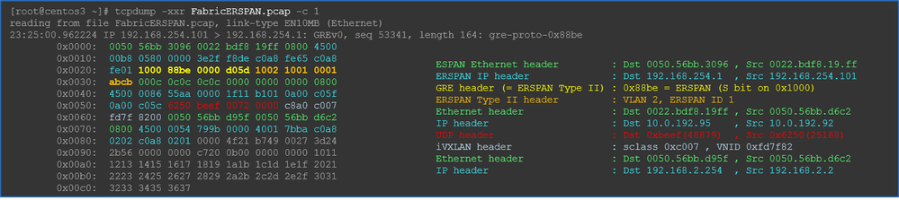 Exibição Hex ERSPAN Tipo 2