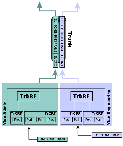 trsw-univ01_f.gif