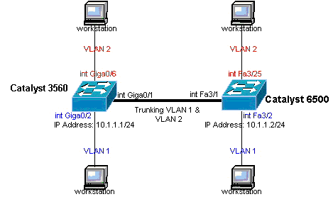 Netzwerkdiagramm