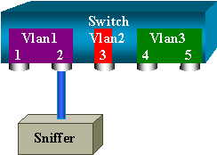 SPAN Possibilities