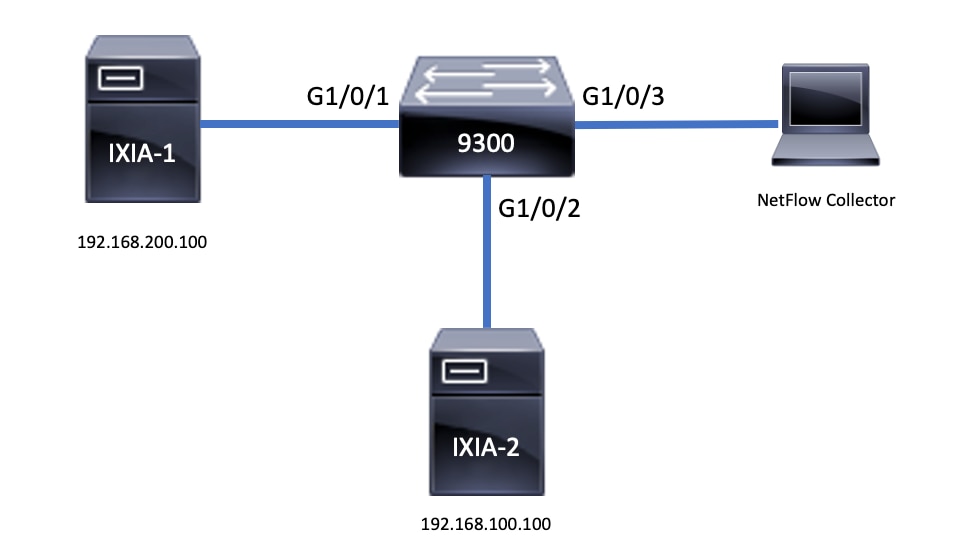 Netflow拓扑