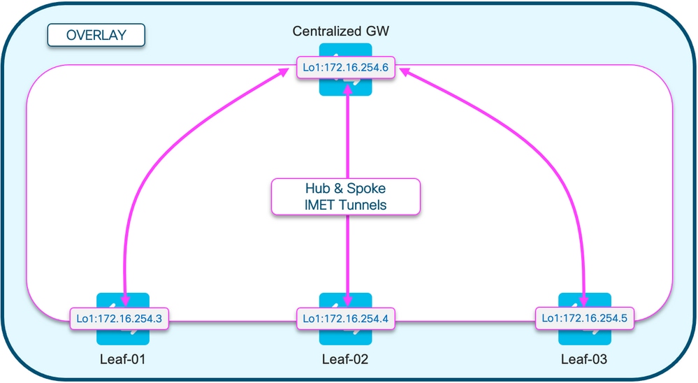 BGP EVPN RT3 hub en spraaktopo