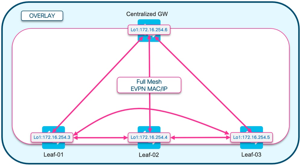 BGP EVPN RT2 volledige mesh top